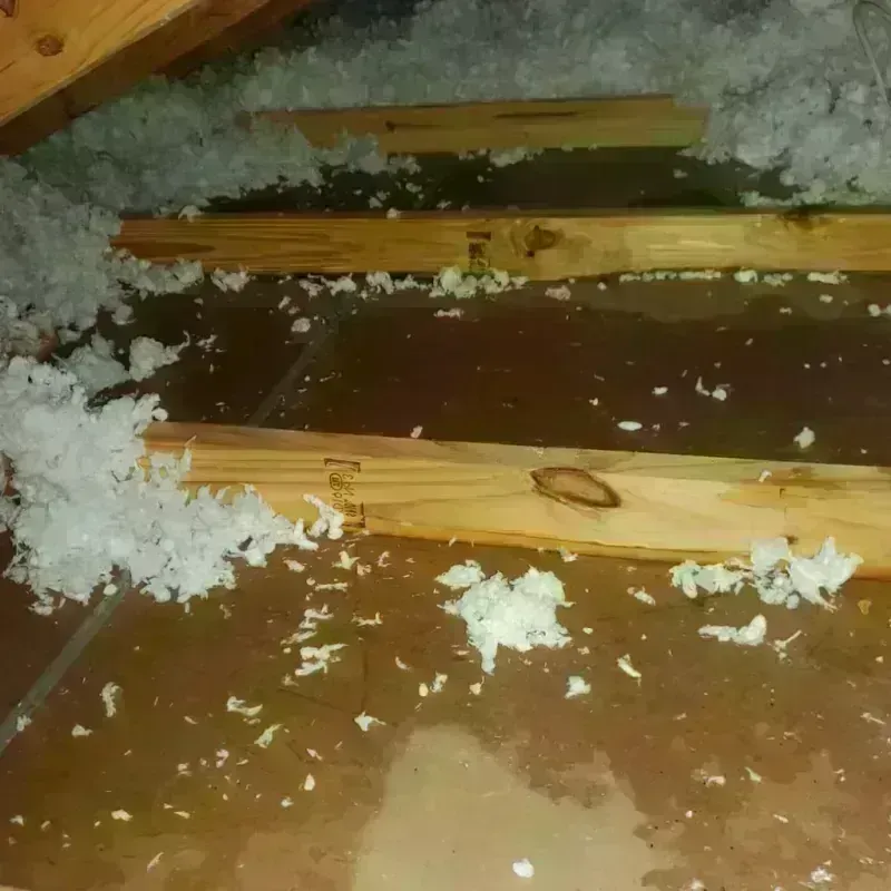 Attic Water Damage in Coldwater, MI