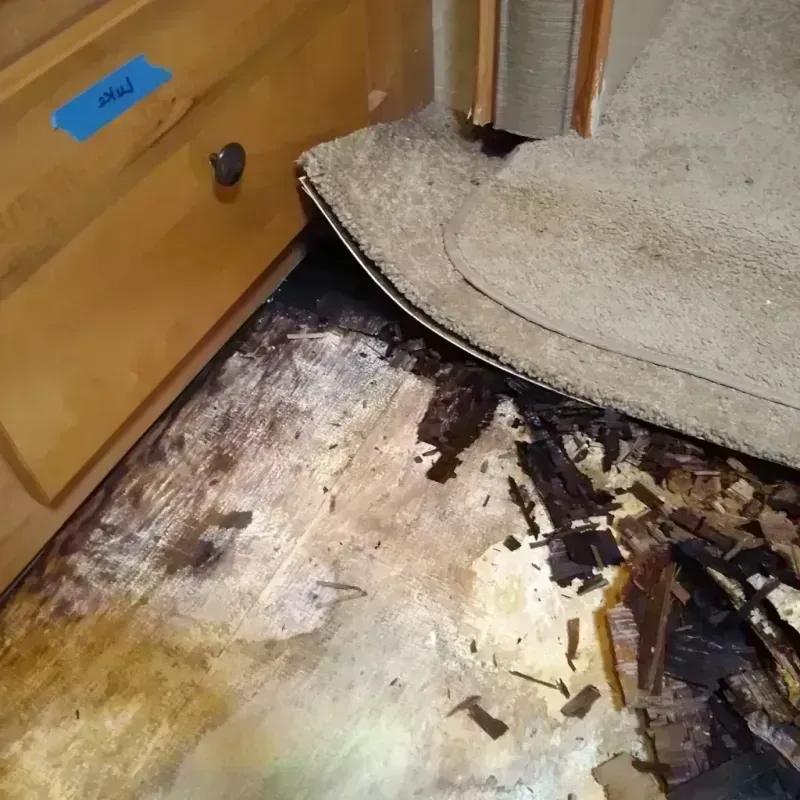 Best Wood Floor Water Damage Service in Coldwater, MI